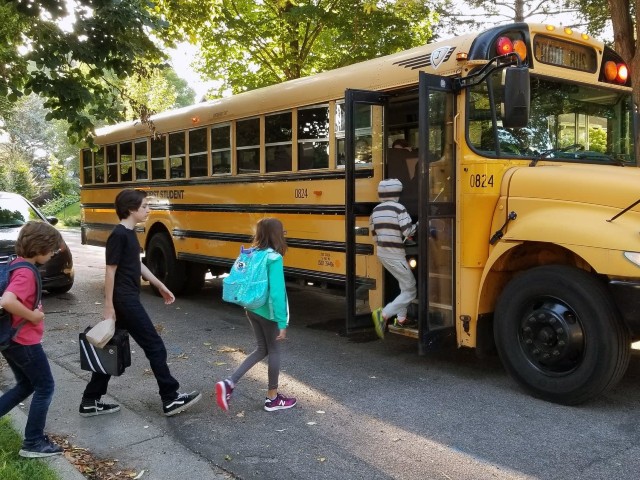 Affidamento in concessione del servizio di trasporto scolastico